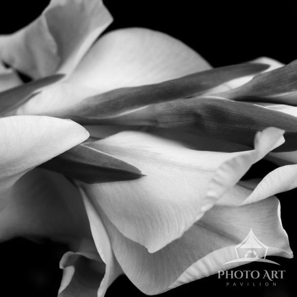 Black and white takes on another dimension, seeing past the obvious, and discovering the space and