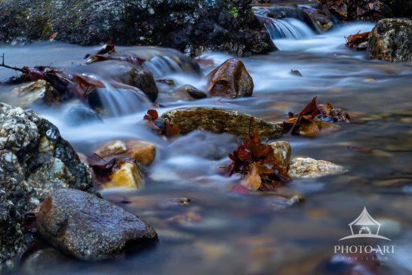 Another shot of the Davidson River. It is pure bliss to sit along the banks and smell the fresh,