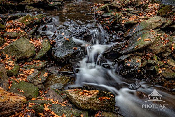 Just outside of Beckley, WV, is Cranberry Falls. Waterfalls, no matter the size, stimulate lull our