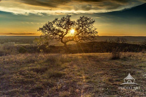 Just above Inks Lake SP is a small, pocket park that looked out over the valley. Sunsets up there