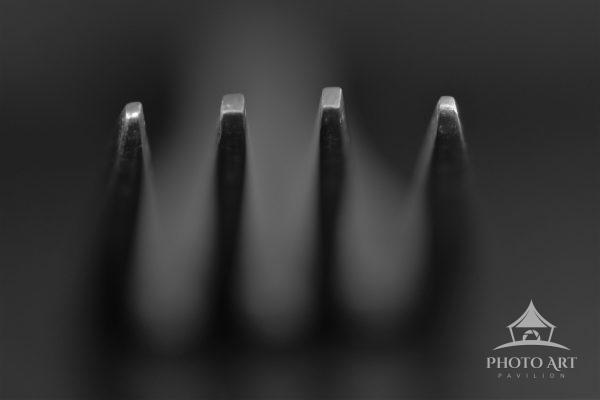 An interplay of light and shadow as the image offers a moment of clarity against the soft diffused