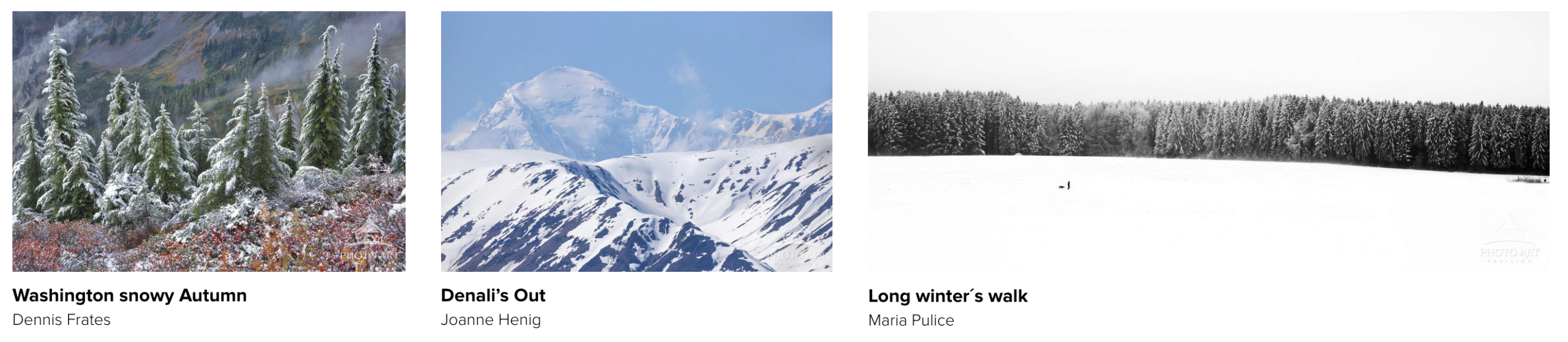 The Magic of Winter Landscapes in Fine Art Photography 27 Photo Art Pavilion winter landscapes and last art sale of 2025