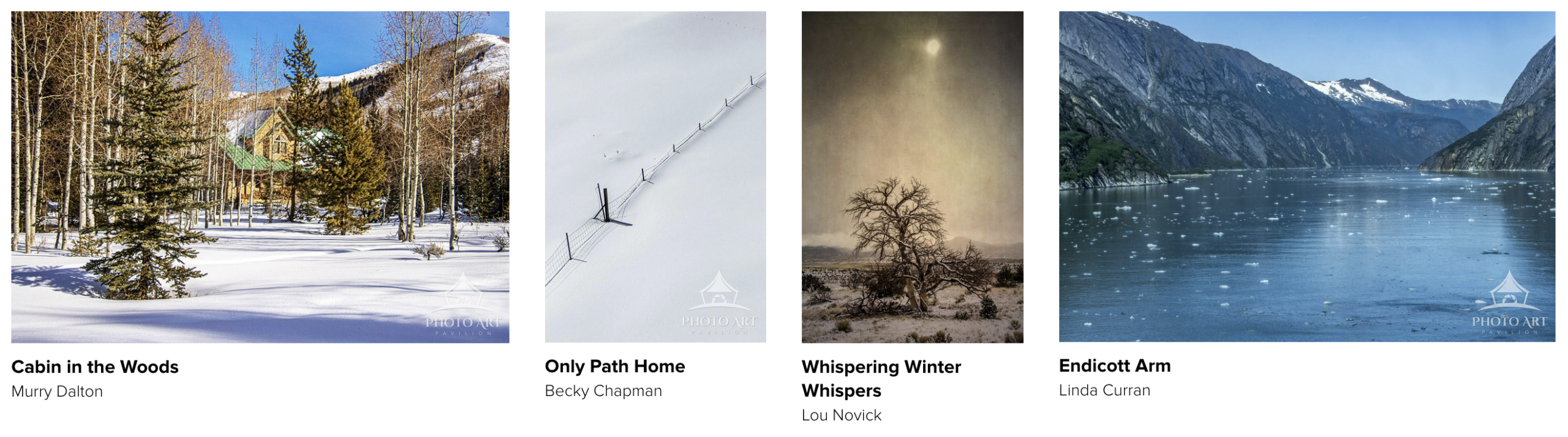 The Magic of Winter Landscapes in Fine Art Photography 28 Photo Art Pavilion winter landscapes and last art sale of 2025