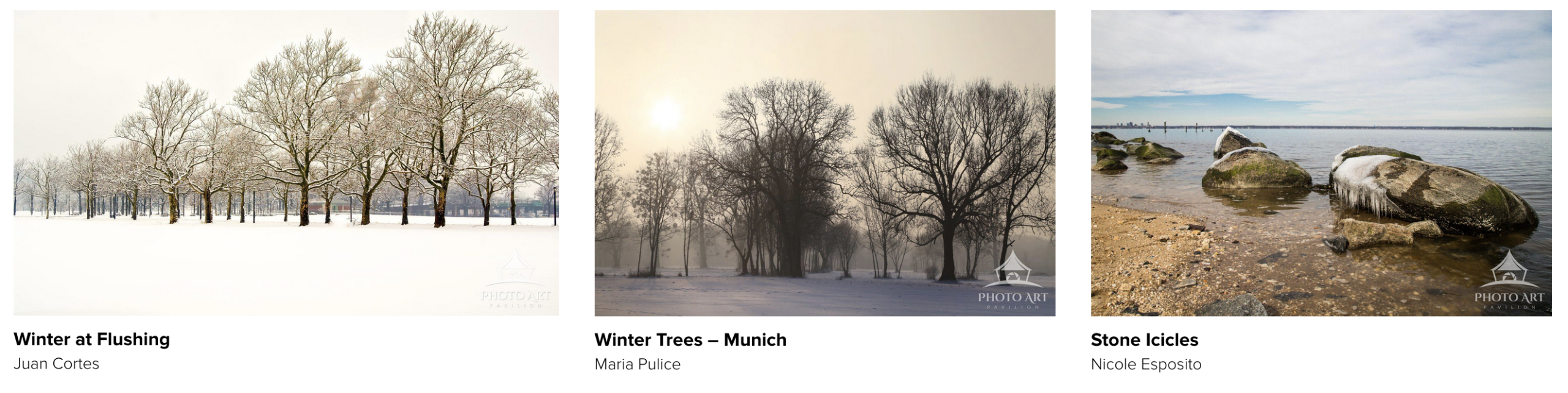 The Magic of Winter Landscapes in Fine Art Photography 29 Photo Art Pavilion winter landscapes and last art sale of 2025