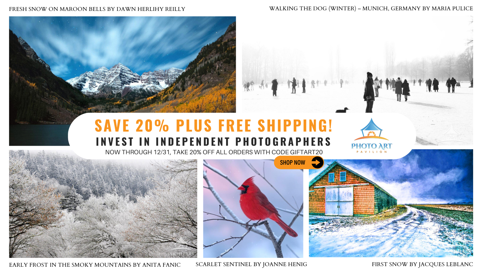 The Magic of Winter Landscapes in Fine Art Photography