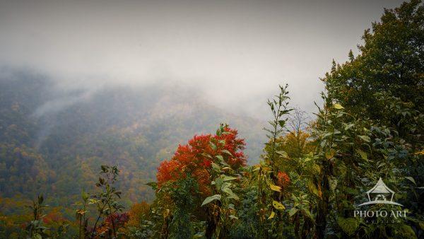 As we were driving, I noticed this image of the fog settling in over the hills and a big pop of red