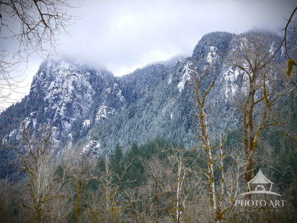Mountain Foothills framed by trees