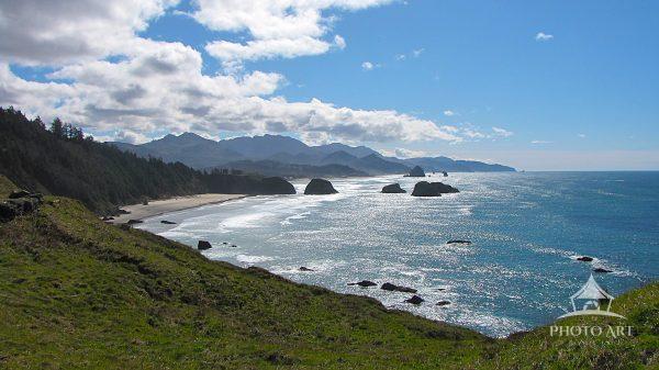 Rocky Coastlione in Oregon