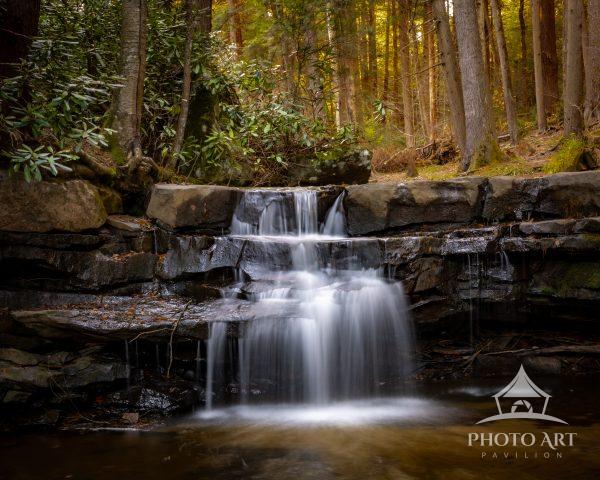 In the soft shadows of the forest, a gentle waterfall whispers through moss-covered stones, its song