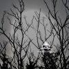 Walking at the path at Mount Sinai Harbor caught this picture of the sun through the bare trees of