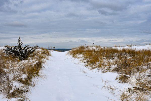 Harbor walk on a snowy day… so beautiful…