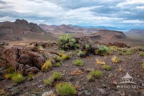 Contours of the Sleeping Desert presents a sharp, unembellished view of a harsh landscape shaped by