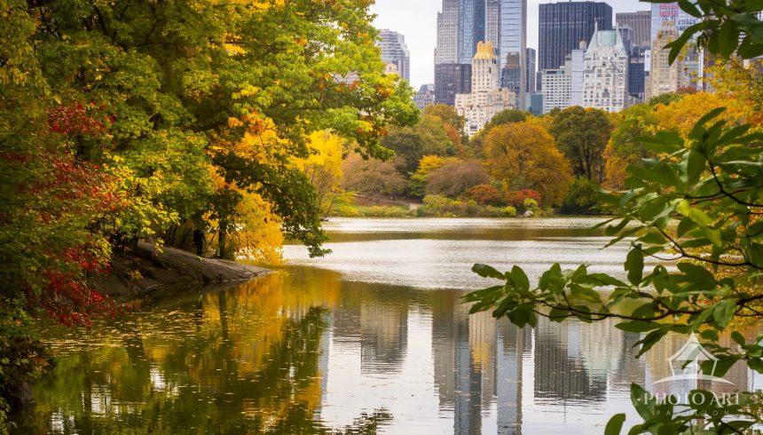 A stunning vertical composition of The Lake in Central Park during the autumn season. This