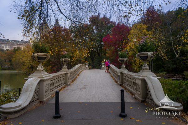 Experience the timeless beauty of Central Park's Bow Bridge during the peak of autumn. This