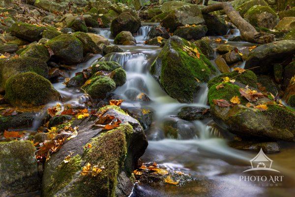 A gentle stream flows through a rocky forest landscape. Moss-covered rocks and autumn leaves add a