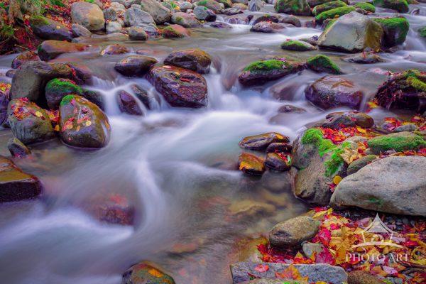 One of many cascades along the Ramsey River. This one stood out with the weir in a half circle