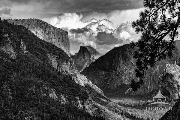 A dramatic black and white view of Yosemite Valley, framed by towering cliffs and lush forests.