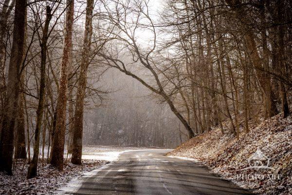 This fine art photograph captures a winding winter road passing through a quiet forest lightly