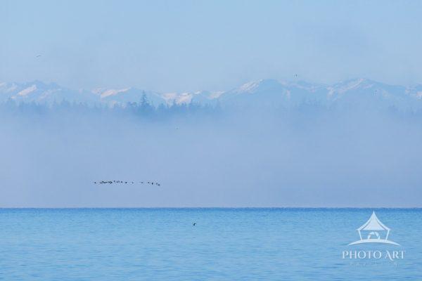 Mountains appearing as the fog lifts on the Sound, the view from Kayak Point