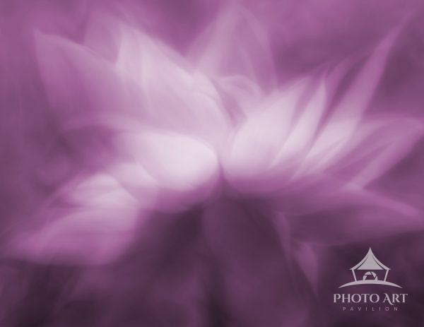 This image is a replica of the original Double Exposure image, created in a different color to