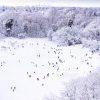 Aerial view of a fun family snow day.