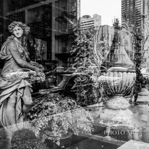 I was inspired to capture this reflection image taken from looking into a landscaping/garden shop