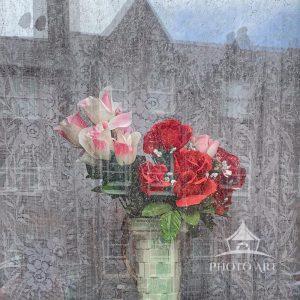 Capturing this image in Scotland felt like a gentle act of voyeurism, peering in from the street at