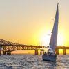 Racing yachts make for the bridge as the sun approaches the horizon.
