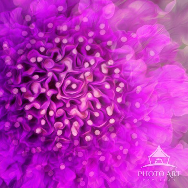 For this image I processed it with a creative flair and then exposed multiple layers over to give