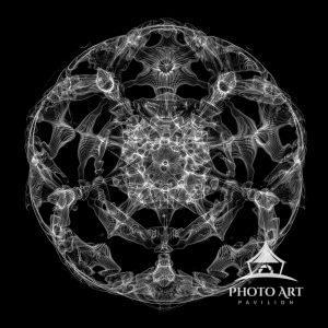 This is one of a series I call "Cymatiscapes," named after “Cymatics” which refers to the study of