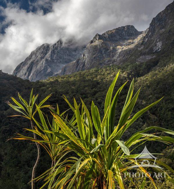 New Zealand - South Island