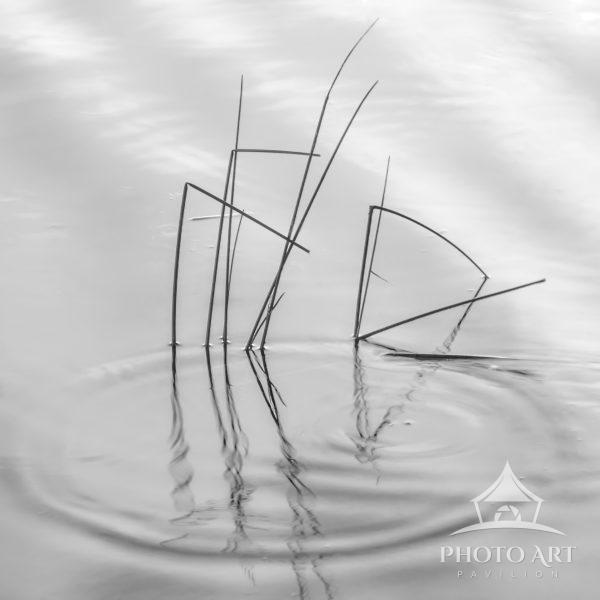 A study of Zen simplicity and stillness