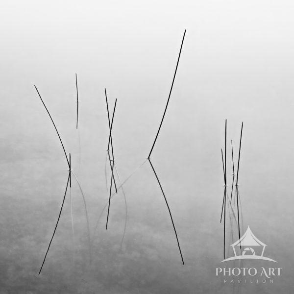A study of Zen simplicity and stillness