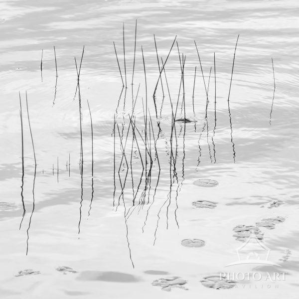 A study of Zen simplicity and stillness