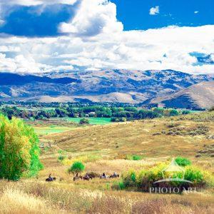 Out near Midway Utah, where the town loosens its collar and lets the countryside breathe, the