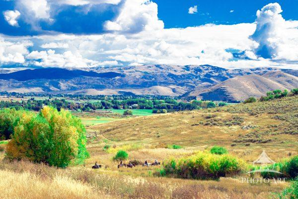 Out near Midway Utah, where the town loosens its collar and lets the countryside breathe, the