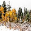 I headed up the canyon hoping to catch the fall colors at their peak, but the trip took an