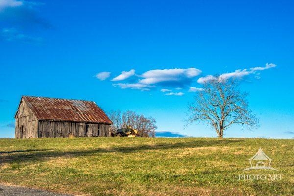 A rustic wooden barn and a solitary leafless tree sit on a grassy hill beneath a vibrant blue sky,