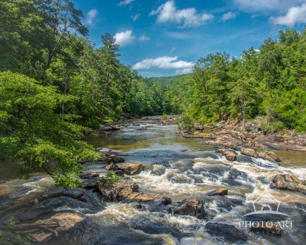 A fast-flowing creek winds through a lush green forest, cascading over rocks and rapids beneath a