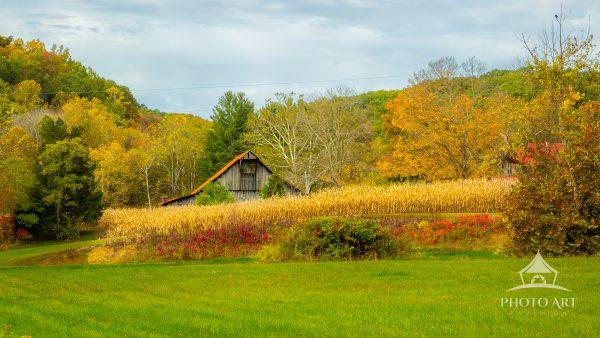 Autumn colors surround a Classic Indiana barn tucked beside a quiet cornfield in the rolling hills