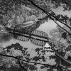 A dramatic black-and-white view from Hawks Nest State Park in West Virginia looks through the trees
