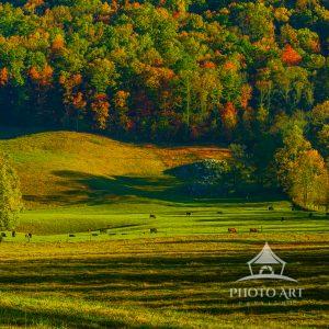 From the ridgelines above Cades Cove near Townsend, Tennessee, wide-open mountain pastures stretch