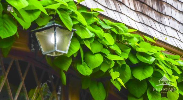This light in day is sitting at the entryway of Bayard Cutting house in Oakdale