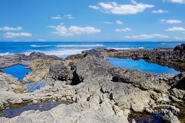 Tide Pools