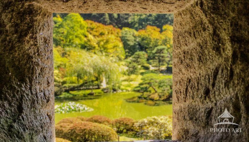 lush green Japanese garden viewed through lantern opening with coins