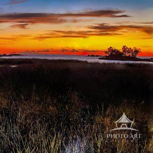 A vibrant sunset casts warm hues over a tranquil marshland, with tall grasses and distant trees