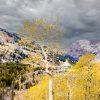 The lone aspen stands like a guardian overlooking the golden forest and rugged Utah peaks beneath a