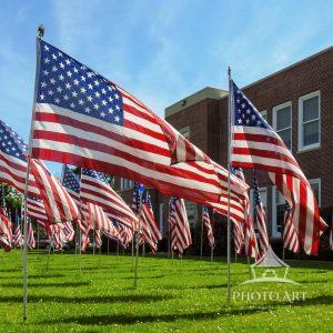 Driving by Elmont, I saw these American flags that looked stunning.