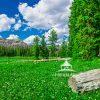 Tucked high in the Wasatch National Forest in Utah at nearly 10,000 feet, this peaceful meadow felt