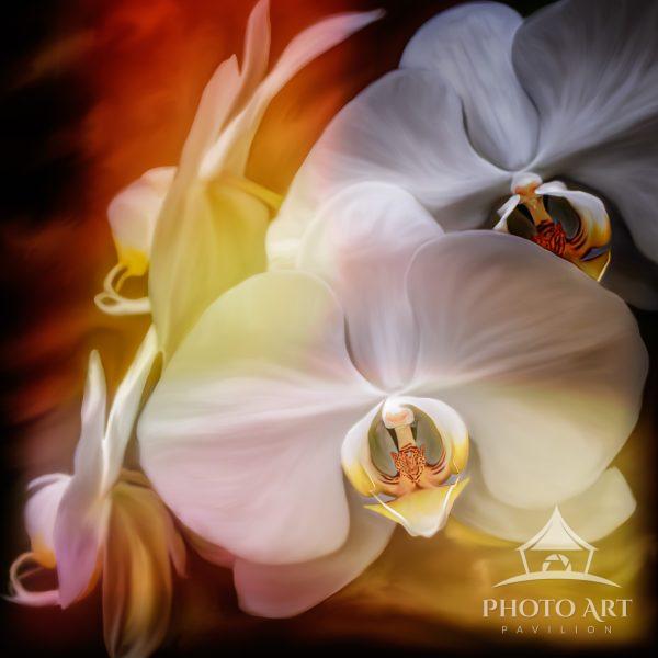 This image was captured at the McKee Botanical Gardens. My technique of digitally hand painting,